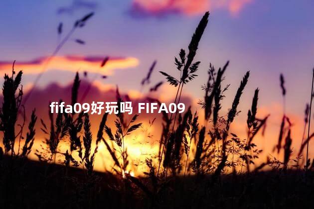 fifa09好玩吗 FIFA09